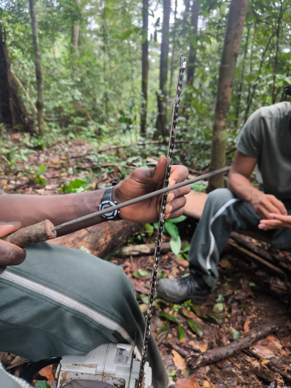 Formation terrain RSMA Guyane